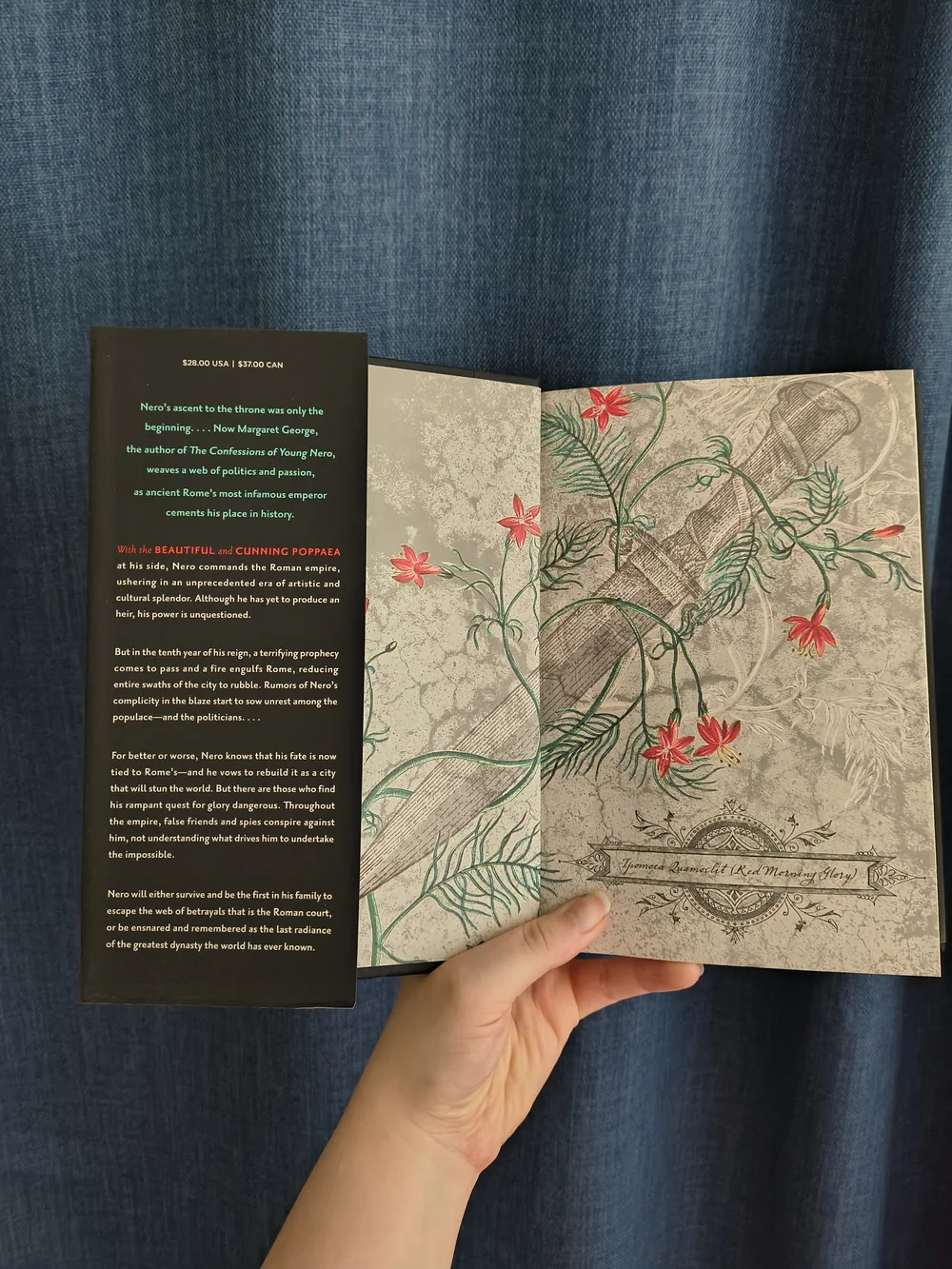 The Splendor Before The Dark Hardcover Novel